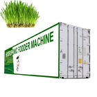 Germination Hydroponic Fodder System / Cattle Green Fodder Growing Machine